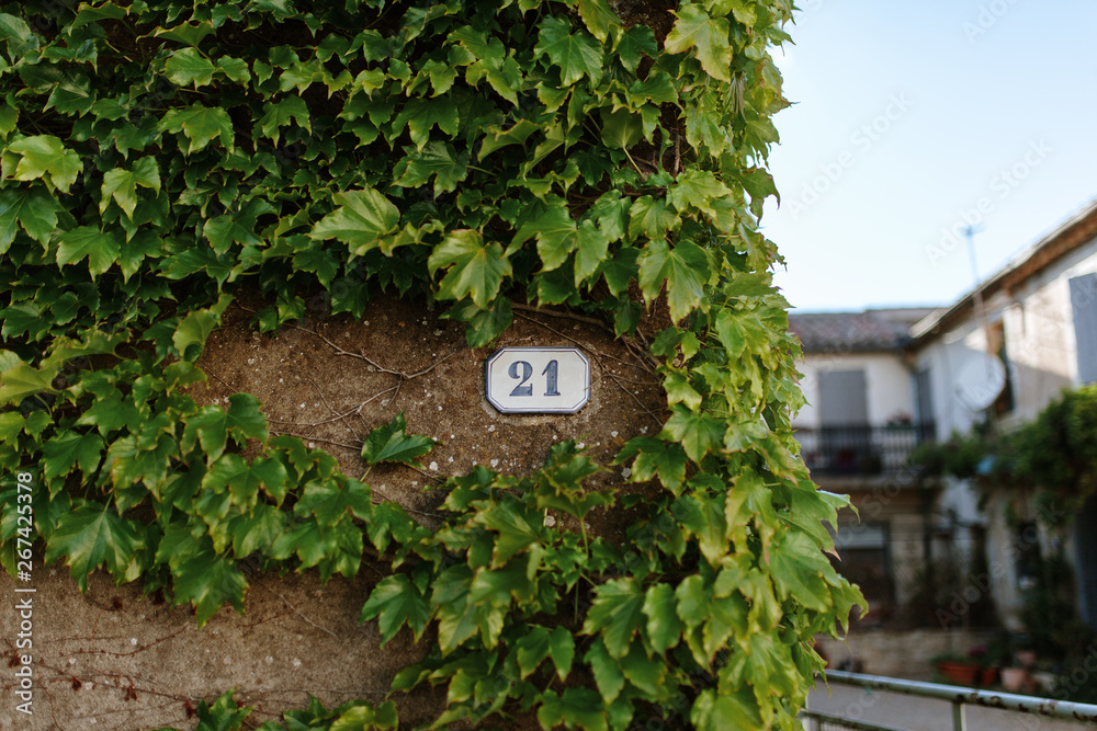 Fototapeta premium Door number 21 woth ivy in france