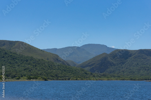 Summer landscape with forest covered mountains and blue water