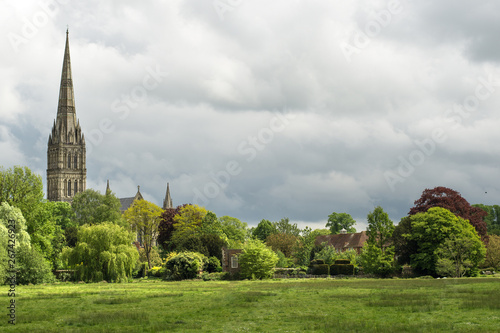 Green landscape with Salisbury Cathedral in the background