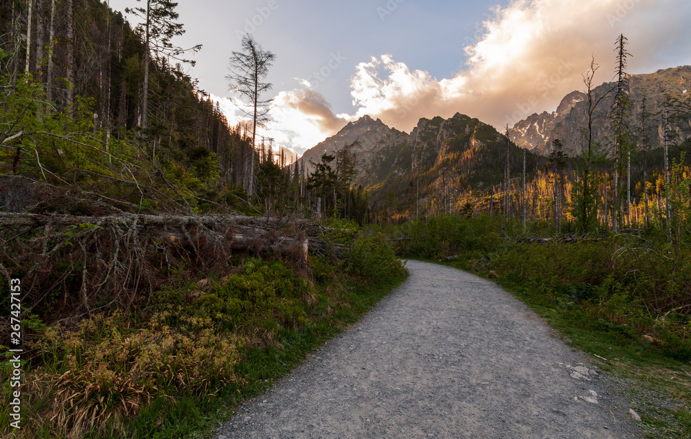 Rocky trail in the Tatra mountains in Slovakia