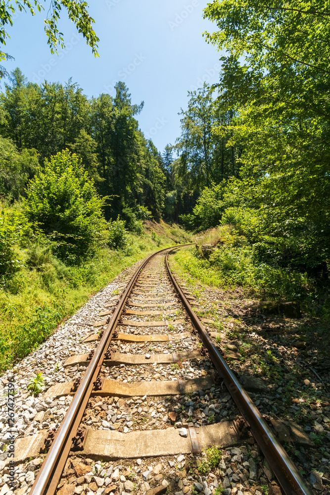 view of rails in the forest