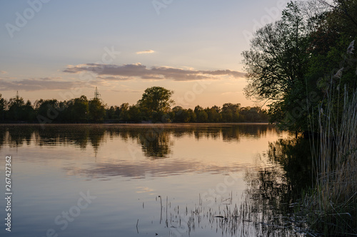 beautiful sunset by the river under tree leaves and branches. calm water