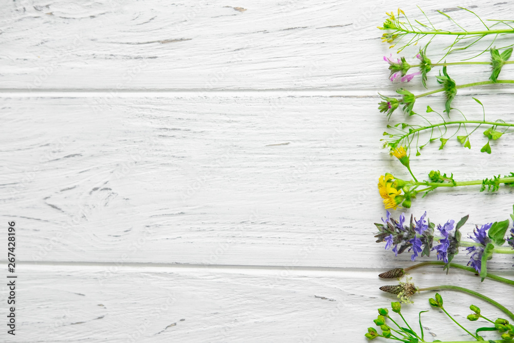 Fototapeta premium Background of wildflowers. Background for a banner with natural colors. Banner with Copyspeis Flowers. Floral background. Flowers on a white wooden background.