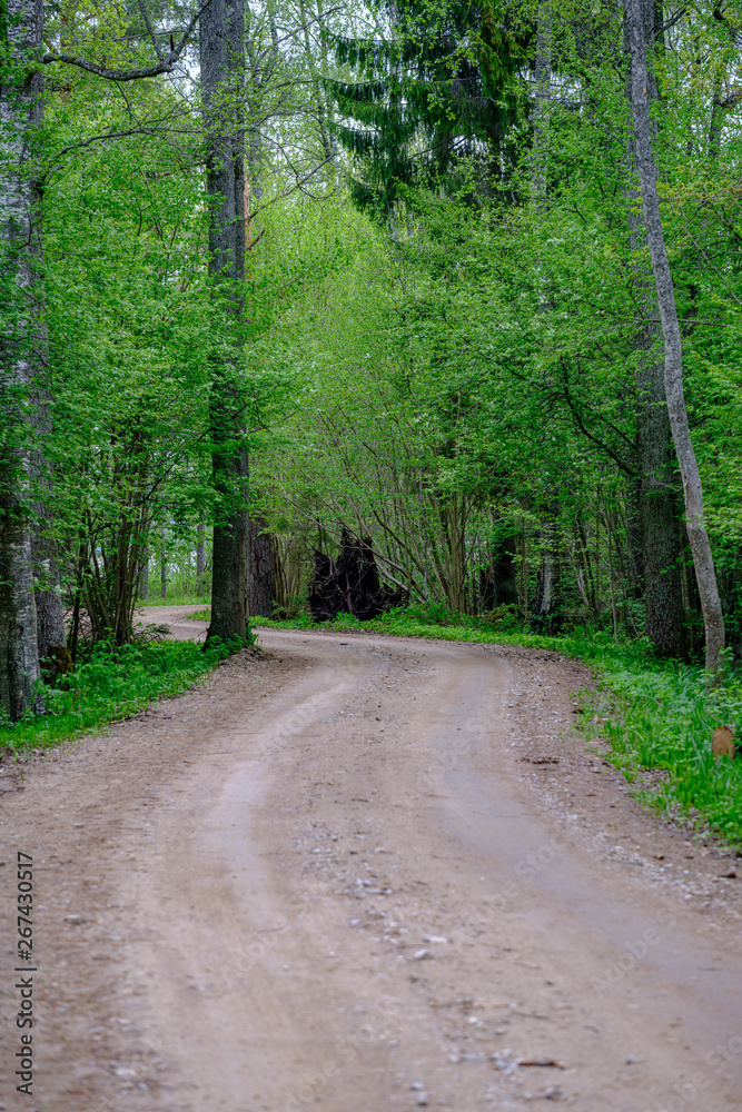 dusty gravel road in country summer time