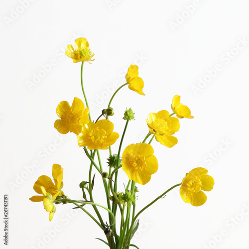 Bouquet di fiori gialli di campo isolati su sfondo bianco