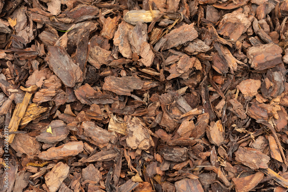 Wood chips texture, wooden biomass background close up Wood chips texture, wooden biomass background close up