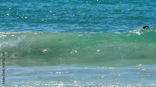 Wallpaper Mural Azure waves rolled shore of Nai Harn Beach Torontodigital.ca