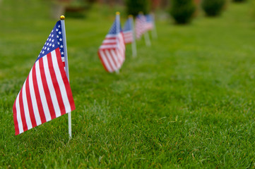 Memorial day flags. American flag on green grass lawn background