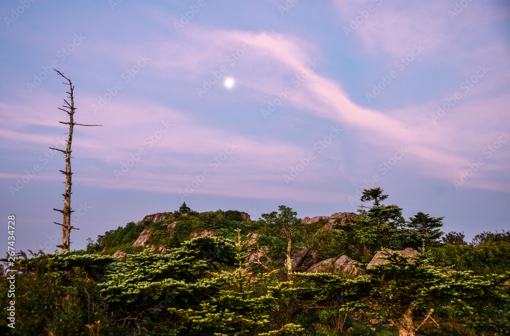 Fototapeta premium Sunrise Landscape View in Grayson Highlands State Park in Jefferson National Forest in Virginia