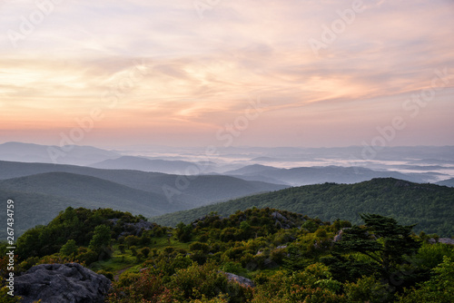 Sunrise Landscape View in Grayson Highlands State Park in Jefferson National Forest in Virginia  © Alisha