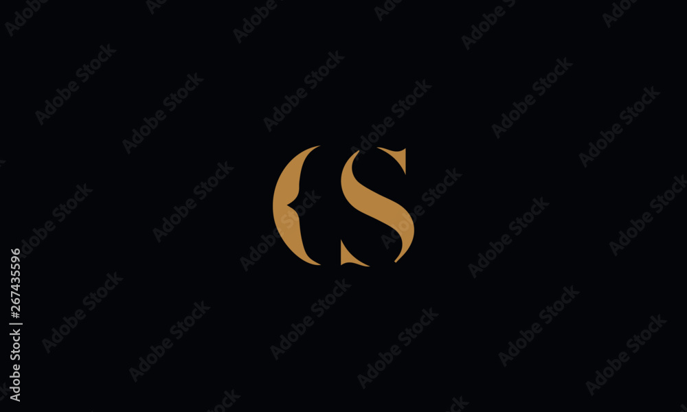 CS logo design template vector illustration CS logo design template vector illustration