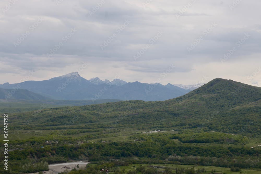 Fototapeta premium Green forest and mountains