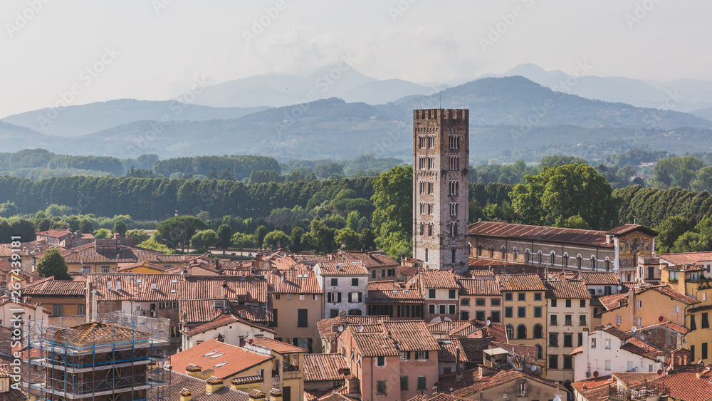 Tower and Basilica of San Frediano over houses of Lucca, Tuscany, Italy,  viewed  from Guinigi Tower
