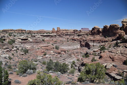 Canyonlands National Park, Utah. U.S.A. Beautiful red rock mountains, pinyon and juniper pine trees and majestic views