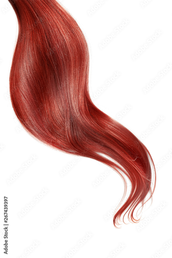 Curl of natural red hair isolated on white background. Long wavy ponytail