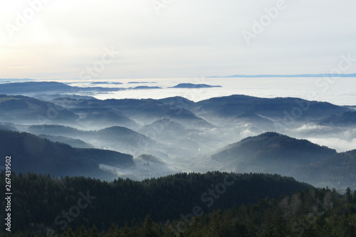Fototapeta Naklejka Na Ścianę i Meble -  Inversionswetterlage im Scwarzwald