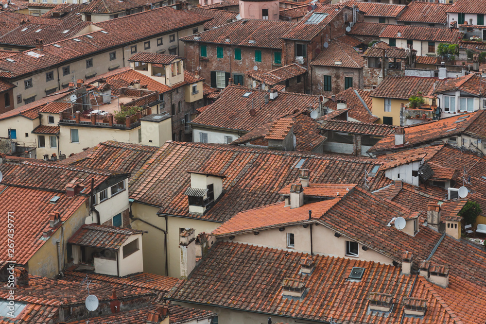 Rooftops of houses in the historic centre of Lucca, Tuscany, Italy
