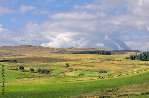 vue sur le plateau du Cézallier prés du village d'Allanche. Cantal, Auvergne, France