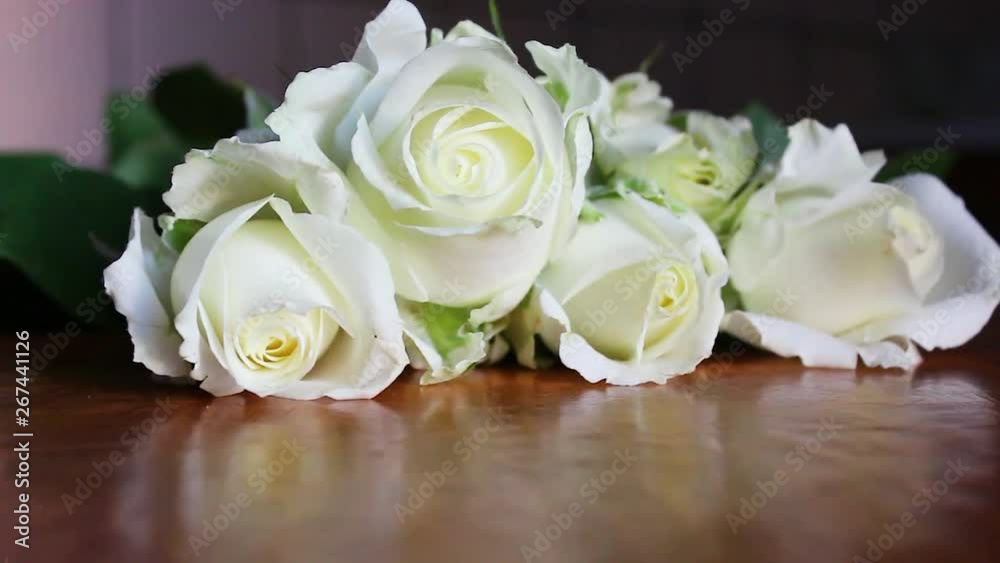 roses on an abstract background. roses on an abstract background.