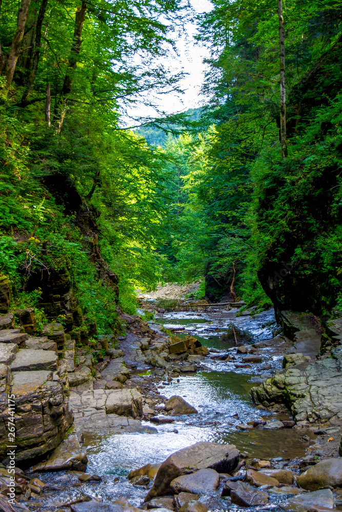 Photo of mountain river flowing through the green forest