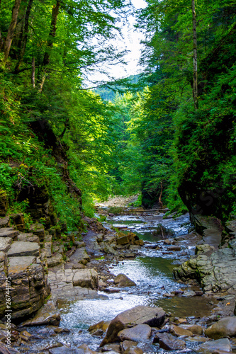 Photo of mountain river flowing through the green forest