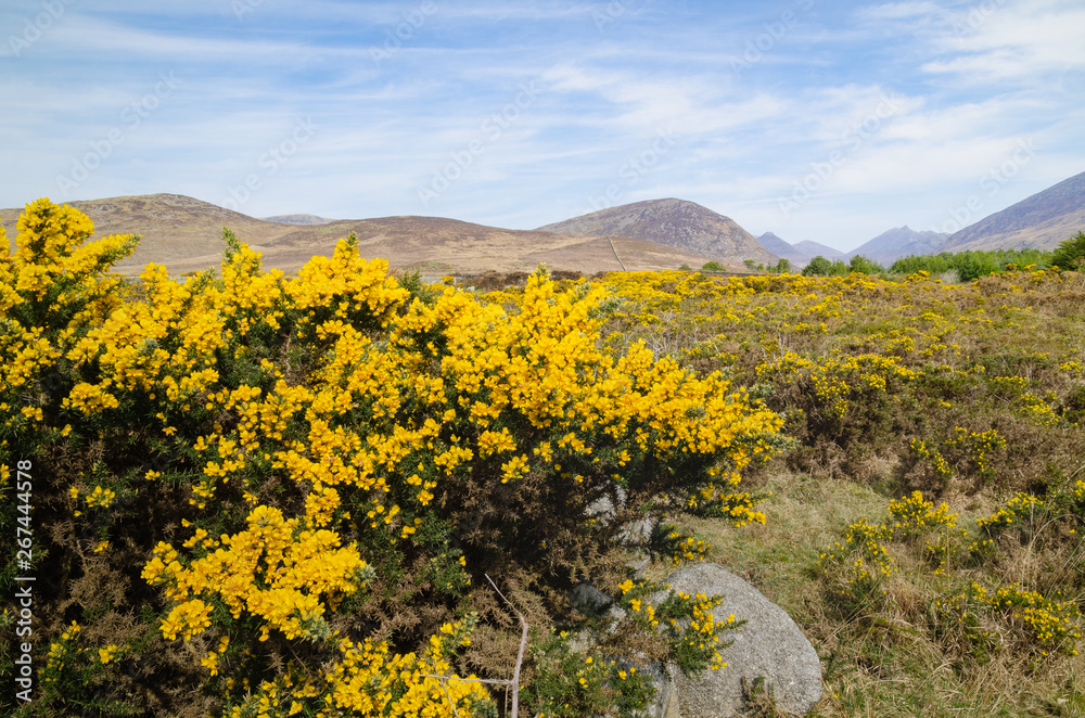 A landscape image of the Mountains of Mourne on an, unusually, sunny bright day.  The image depicts clearly the rugged terrain which characterises this part of Northern Ireland’s south east coast. 