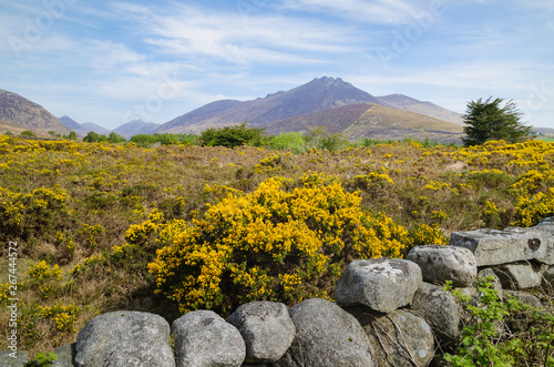 A landscape image of the Mountains of Mourne on an, unusually, sunny bright day.  The image depicts clearly the rugged terrain which characterises this part of Northern Ireland’s south east coast. 
