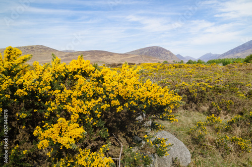 A landscape image of the Mountains of Mourne on an  unusually  sunny bright day.  The image depicts clearly the rugged terrain which characterises this part of Northern Ireland   s south east coast. 