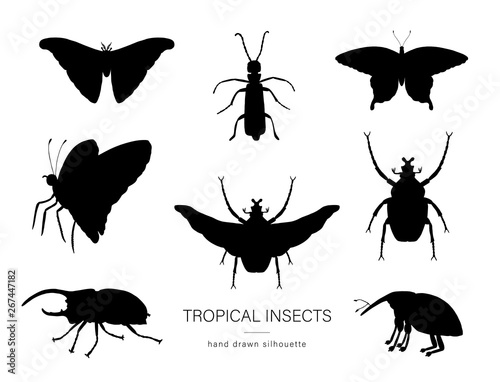 Vector set of tropical insects. Hand drawn black silhouettes of atlas moth, weevil, butterfly, goliath, Hercules beetle, Spanish fly. Set of tropic bugs outlines