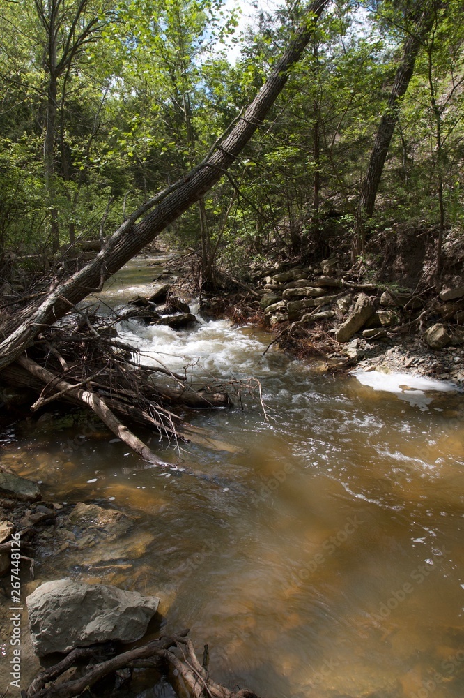 Obraz premium Gstatelakefalls05