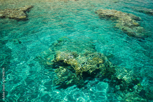 unfocused coral sea bottom aerial view through transparent aquamarine water tropic exotic scenic Red sea landscape background 