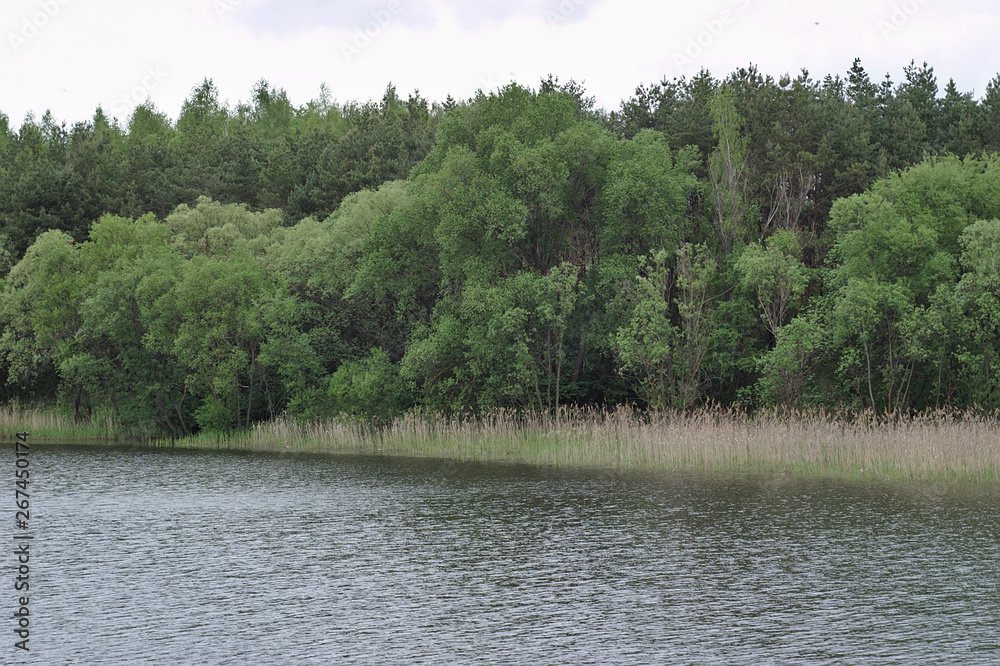 pond in the coutryside in spring pond in the coutryside in spring