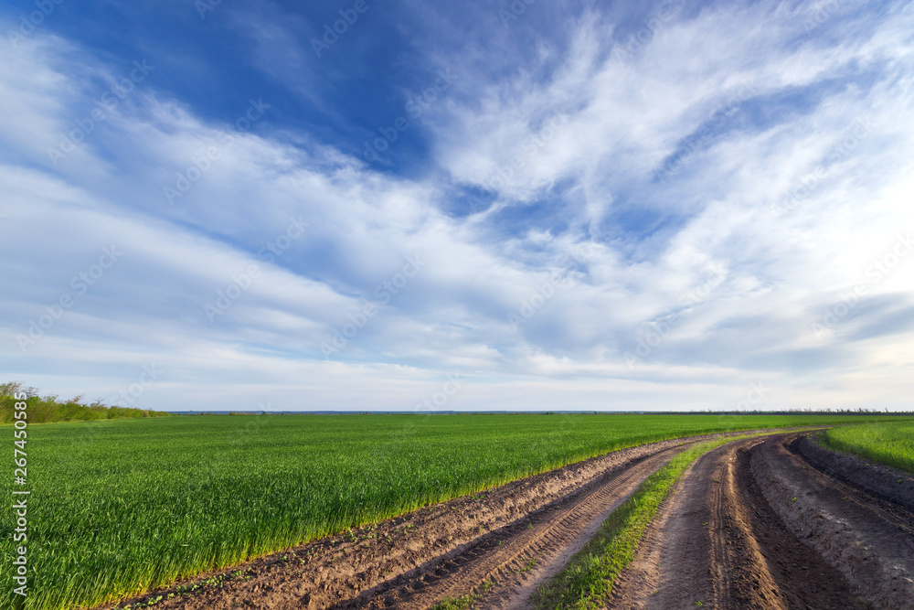earthen road around green field / agriculture countryside earthen road around green field / agriculture countryside