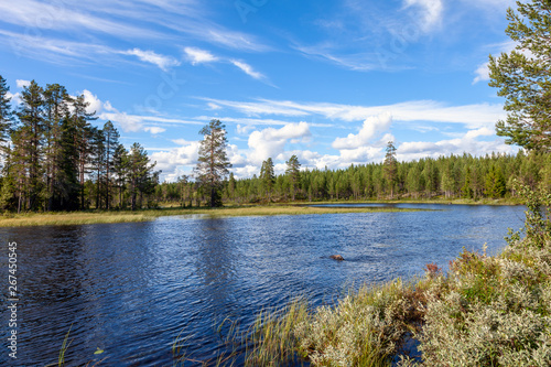 Idyllische Wasserlandschaft im Angelparadies Schweden