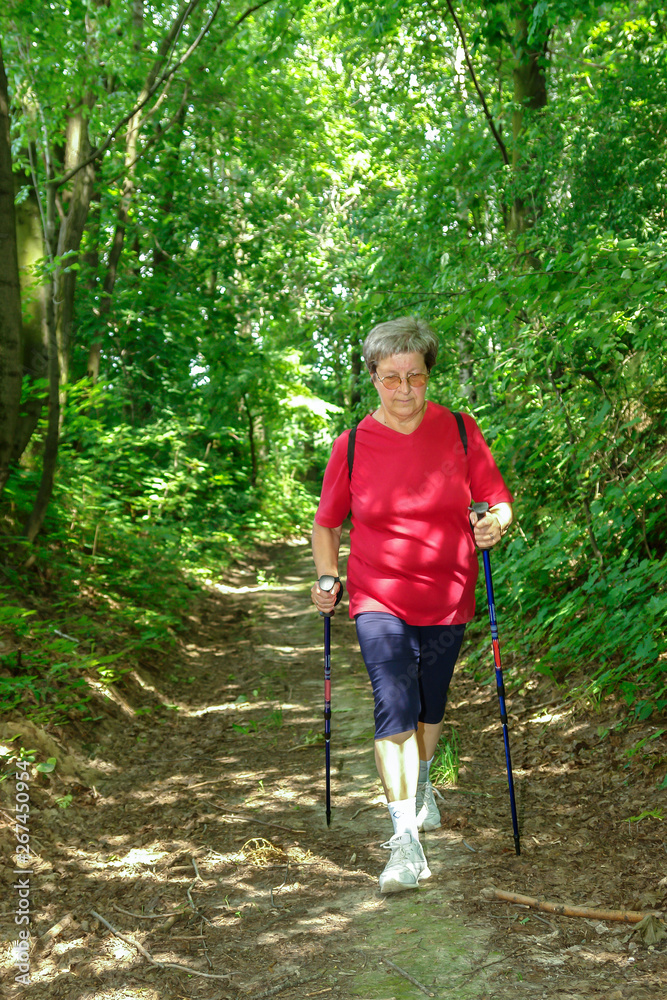 Nordic walking in the firest Nordic walking in the firest