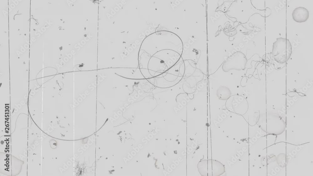 Film slide projector screen with dirt scratches and dust, computer generated
