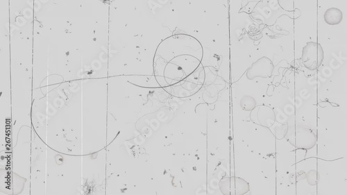 Film slide projector screen with dirt scratches and dust, computer generated