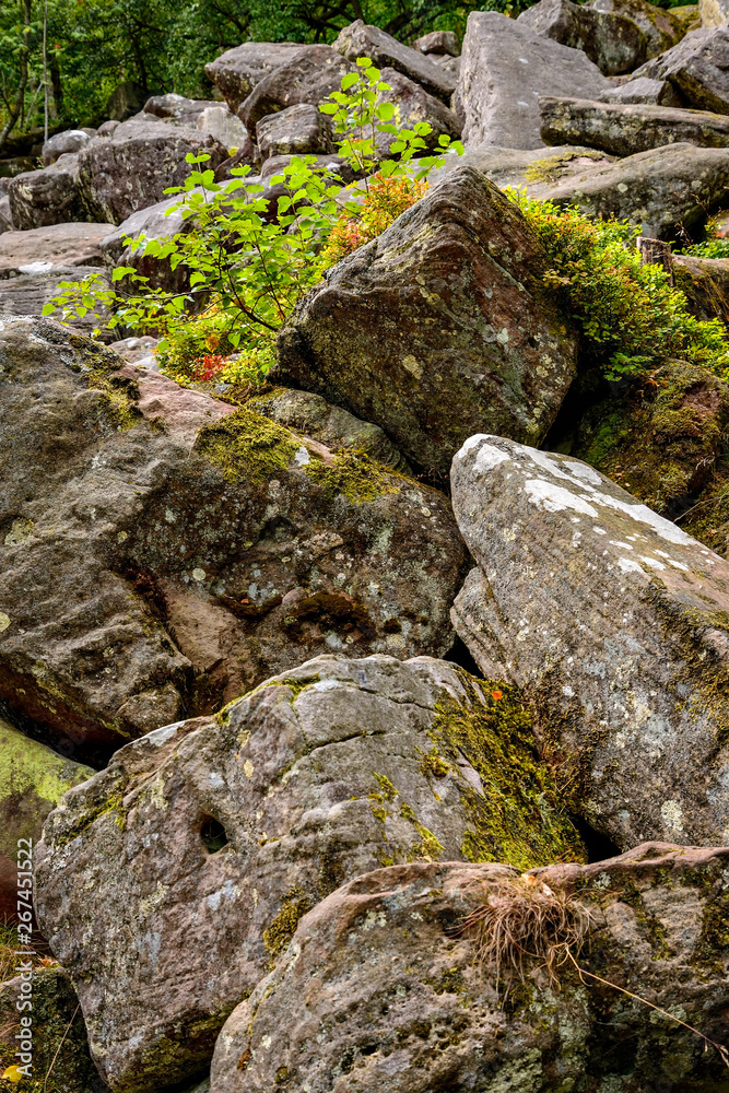 Felsenlandschaft mit Flechten und Moosen: Naturschutzgebiet Felsenlandschaft mit Flechten und Moosen: Naturschutzgebiet