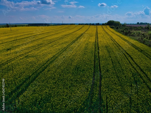 field in spring in Minsk Region of Belarus