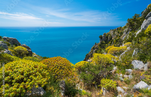Fototapeta Naklejka Na Ścianę i Meble -  Scenic mediterranean seascape with cliffs at Palinuro, Cilento, Campania, southern Italy.