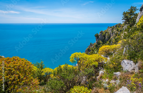 Fototapeta Naklejka Na Ścianę i Meble -  Scenic mediterranean seascape with cliffs at Palinuro, Cilento, Campania, southern Italy.