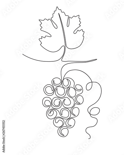 monochrome sketch of a grape branch head drawn with one line.