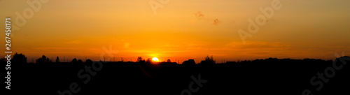 Panorama of Beautiful sunset under the forest