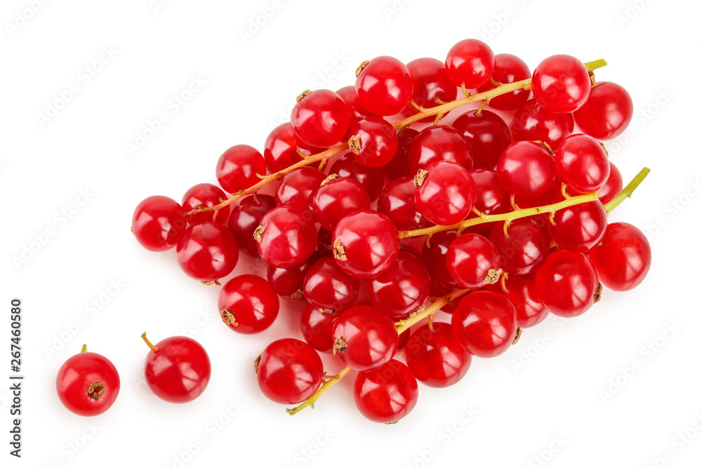 Red currant berry isolated on white background. Top view. Flat lay pattern Red currant berry isolated on white background. Top view. Flat lay pattern