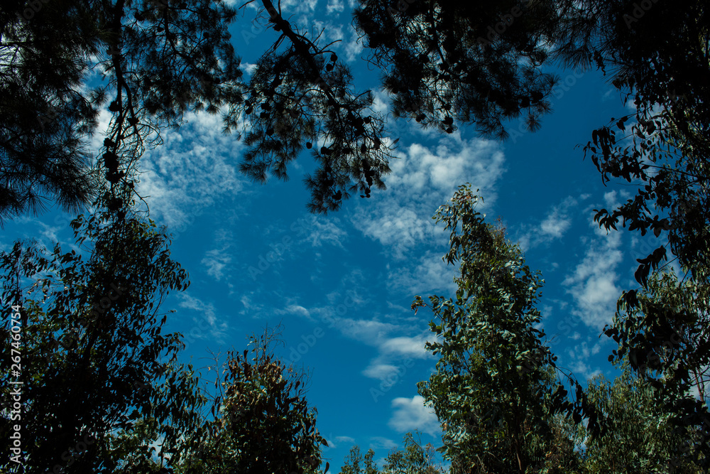 Obraz premium cielo semi despejado