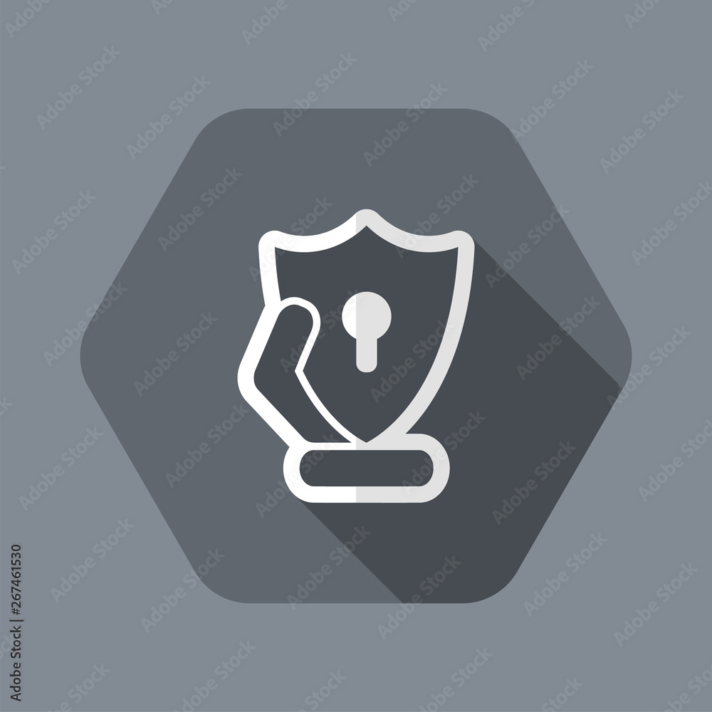 Protection shield icon Protection shield icon