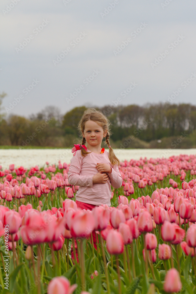 A little girl walks through the tulip fields in Holland
