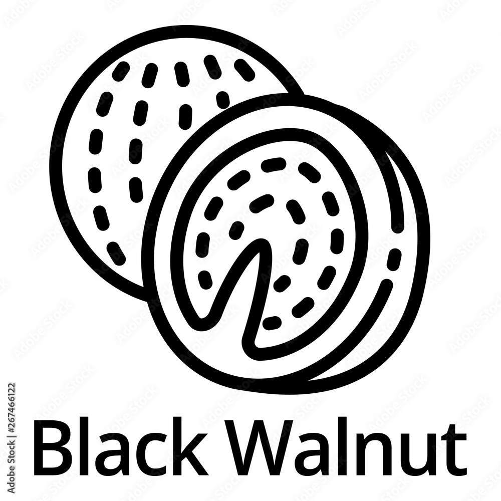 Black walnut icon. Outline black walnut vector icon for web design isolated on white background Black walnut icon. Outline black walnut vector icon for web design isolated on white background