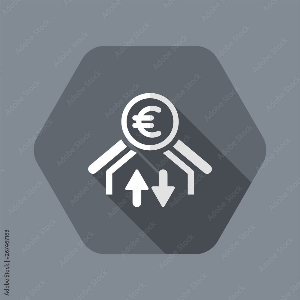 Money transfer icon - Euro Money transfer icon - Euro