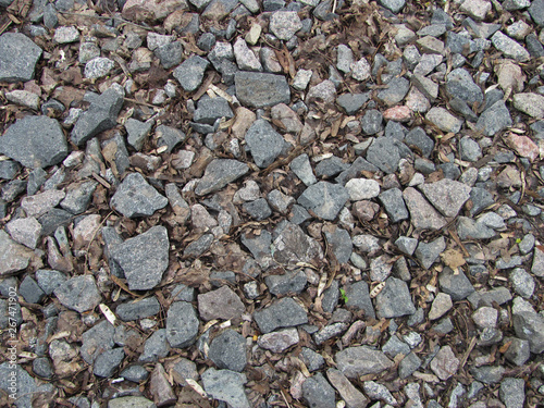 gray gravel with brown dry leaves background